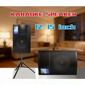 12/15 Inch Professional Passive Speaker High Power HIFI Loudspeaker for KTV Home Stage Outdoor Performance