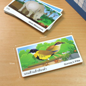 บัตรคำ Flashcards ชุด สัตว์ป่าสงวนของไทย 2 ภาษา (ไทย-อังกฤษ) บัตรผลิตจากพลาสติก กล่อง 20 ใบ/ ET-329