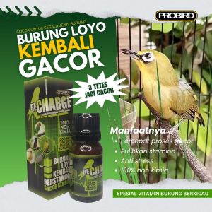 VITAMIN BURUNG BERKICAU RE CHARGE KENARI CENDET KACER MURAI TETESKAN KE MAKANAN BURUNG