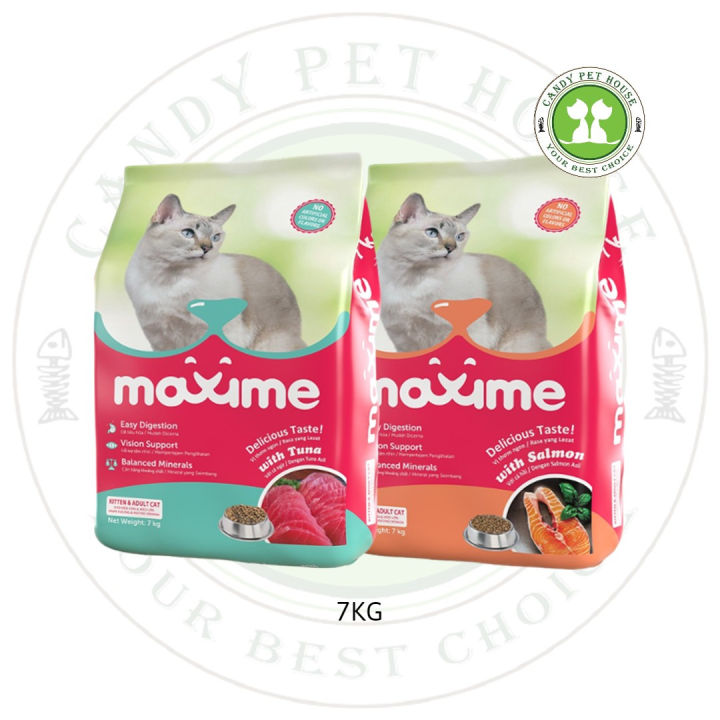 Max cat kitten food best sale