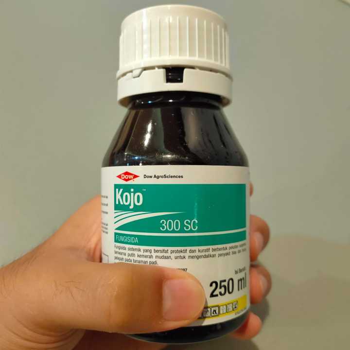 Onlayn porno kameralarni tomosha qiling