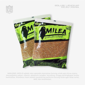 PAKAN BURUNG LOVE BIRD IMPORT MILEA