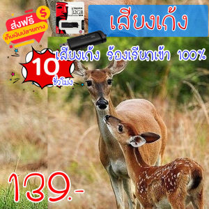 เสียงฟาน เสียงเก้ง ร้องเรียก mp3 ความยาว 10 ชม.เสียงชัด เสียงใสกังวาน ได้ผล100%