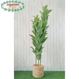 Pohon Daun Karet T180 Latex Artificial Cover Pot Eceng Gondok Tanaman Hias Dekorasi Aesthetic