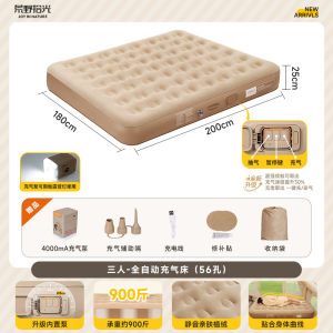 Naturehike Inflatable Air Bed Mattress 25cm thickness with Rechargeable Auto Built-in Pump