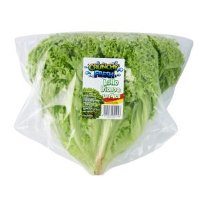 Crunchy Fresh Lollo Bionda Coral Lettuce Vegetable