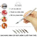 Bộ dao tỉa hoa quả cơ bản SK7 xoáy hoa cà rốt inox dụng cụ trang trí trái cây dao khắc dưa hấu. 
