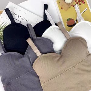 🌻CB-03 สินค้าใหม่ (อก 32-38) สปอร์ตบราสายเดี่ยวผ้าร่อง  ปรับสายได้ พร้อมส่งจากไทย🌻