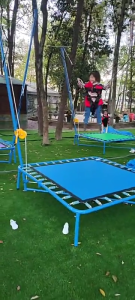 Chuyên nghiệp móc mùa xuân dụng cụ lắp đặt thay thế mùa xuân ốc vít Clip tập thể dục dụng cụ lò xo