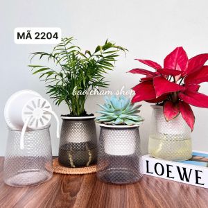 ️RẺ VÔ ĐỊCHCOMBO 2 CHẬU Chậu nhựa trồng cây thủy sinh thủy canh bình trồng cây thủy sinh lọ trồng cây bằng nhựạ kt 13x11cm