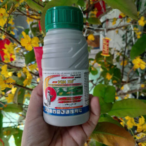 Thuốc trừ sâu Nofara 350SC Hiệu Vua Trĩ Chai 240mlthành phần thiamethoxam 350g/lđặc trừ rầy nâu bọ trĩ rầy xanh rệp sáp DẠNG SỮA - MÁT CÂY