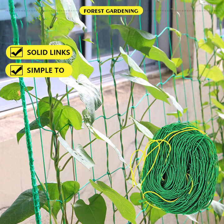 Garden Green Nylon Trellis Netting Support Climbing Bean Plant Nets Grow Fence Lazada Ph