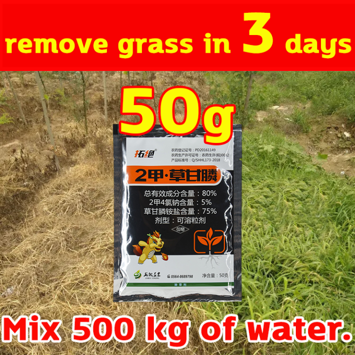 Remove Grass In Daysweed Killer Grass Killer Effective Grass Killer