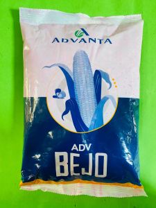 Benih Jagung BEJO isi 1kg dari Advanta F