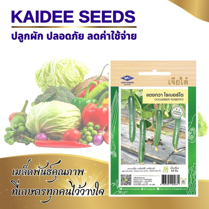 10 อันดับ เมล็ดแตงกวาเจียไต๋ ยี่ห้อไหนดี? ปลูกง่าย ผลดก อัปเดตปี 2025