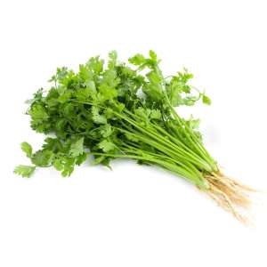 Hạt giống Rau Muống Rau Dền Bí Ngòi Mướp Đậu Cove Đậu Bắp Xà Lách Kale Hoa Hướng Dương Hoa vạn Thọ Đu Đủ Cải Ngọt Cải Thìa Ớt GÓI LỚN - Hạt giống Rạng đông / Agriscience