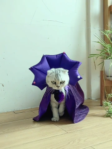 Festival Pet Wear Hat Halloween Pet Make Up Hat Dogs Cats Clothes Hat for Feline and Small Dog Holiday Attire