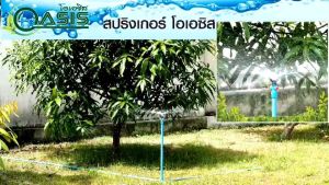 สปริงเกอร์ ใบทูเวย์ ใส่ได้ทั้งเกลียวใน 1/2"และ3/4" แพ็ค 30 ชิ้น ร้านพรเกษตร