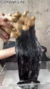 Herbal Ginger Shampoo Anti Dandruff Hair Growth 500ml Hair Oil Control+Hair Repair 1000ml