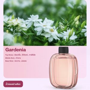 เครื่องพ่นไอน้ํา เครื่องพ่นอโรม่า เครื่องฟอกอากาศอโรมา กระจายกลิ่นหอมยาวนาน กระจายกลิ่นอโรมา สเปรย์น้ําหอมปรับอากาศอัตโนมัติ สําหรับบ้าน ห้องนั่งเล่น น้ํามันหอมระเหย น้ํามันหอมระเหย น้ํามันหอมระเหย สเปรย์ป