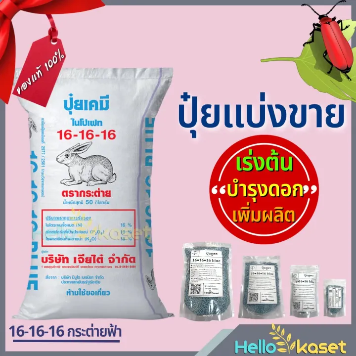 ปุ๋ยเคมี 16-16-16 ตรากระต่าย พรีเมี่ยม มีโบรอน