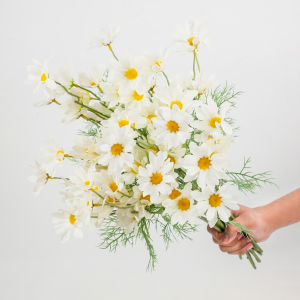 Bunga Aster Cemara Panjang Artificial Flowers Daisy Chamomile Krisan Besar 7cm Premium Tanaman Hias Bouquet Buatan Bunga Dekorasi Pernikahan DIY Karangan Bunga Rumah Ruang Tamu Import Berkualitas