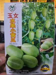 Hạt Giống Dưa chuột ngọc nữ dưa leo mini - 10 Hạt/Gói