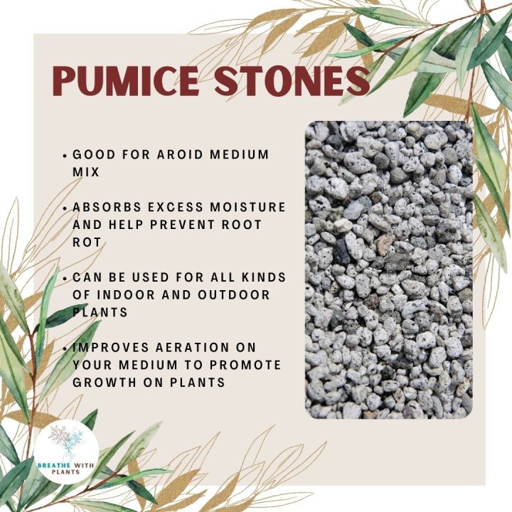 Pumice Stones for Potting Media Marble Chips Black Red Lava Rock