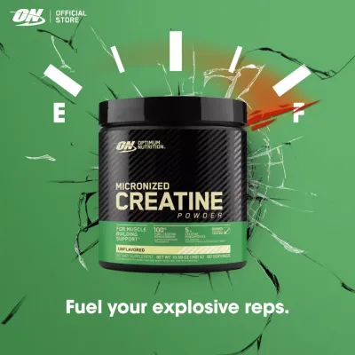 Optimum Nutrition Micronized Creatine Powder