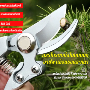 ที่ตัดแต่งกิ่ง ซ่อมดอกไม้ กรรไกรตัดกิ่งผลไม้ การตัดแต่งกิ่งทําพิเศษสําหรับการจัดสวน แข็งแกร่ง