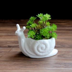 Chậu Trồng Cây Sen Đá Xương Rồng Cây Mini Hình Ốc Để Bàn Trang Trí Nhà Thêm Xinh