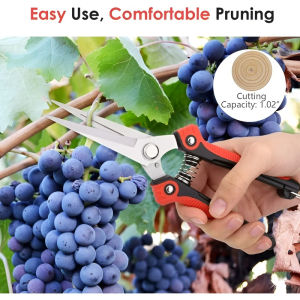 Sharp Edges Trimming Scissors Gardening Scissors Anticorrosion Coating Durable And Wearresistant Stainless Steel Picking Gardening Pruning Shears Gardening Pruning Shears