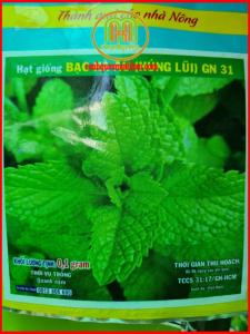 Hạt giống rau xà lách rau thơm cải các loại đồng giá Minh Hân Garden