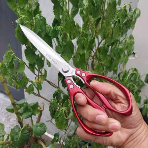 Kéo mũi dài đa năng thép SK5 Nhật Bản rất sắc bén kéo nhà bếp chuyên cắt thịt nướng nhà hàng quán ăn