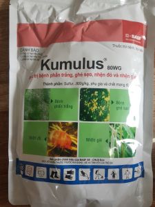 thuốc trừ bệnh trừ sâu KUMULUS 80WG: trừ bệnh phấn trắng ghẻ sẹo nấm cóc nấm sung trên hoa cúc trừ nhện đỏ nhện gié (gói 1kg)