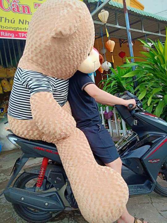 Gấu bông teddy khổ vải 2M cao 1m8