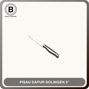 Pisau Dapur Full Stainless Steel Solingen|Chef Knife