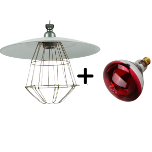 1 Set Metal Heat Lamp with Infrared Bulb Piggery Poultry livestock Metal Heat Lamp Shade with Net + Bulb Guard Heating lamp for chicks heating lamp for puppies heating lamp food heating lamp heating lamp food warmer 2 bulb heating lamp for food heating