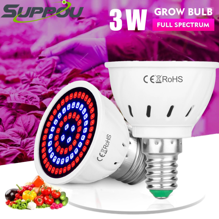 Uv light deals bulbs for plants