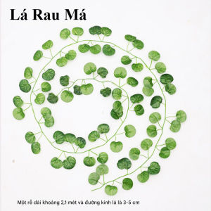 Dây Leo Nhân Tạo Dài 2m1 Lá Vải Lụa Màu Sắc Xanh Tự Nhiên Dây Leo Treo Tường Tạo Không Gian Xanh Mát Decor Siêu Xinh TIDO TI DO