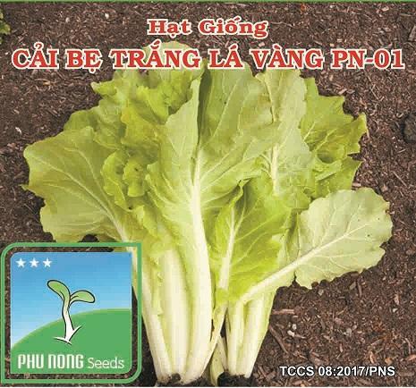 %5BHCM%5DC%E1%BA%A2I%20B%E1%BA%B8%20TR%E1%BA%AENG%20L%C3%81%20V%C3%80NG%20PH%C3%9A%20N%C3%94NG%20PN-01%20G%C3%93I%2010GRAM%20CH%E1%BA%A4T%20L%C6%AF%E1%BB%A2NG%20CAO%20.%20-%20Image%201