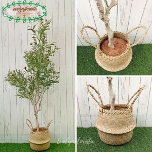 Pohon Artificial Zaitun Olive X3 T140 & T180 Latex Cover Purun Belly Dekorasi Ruang Tamu