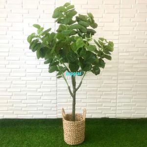 Pohon Artificial Tanaman Hias Daun Mangkokan X4 T140 Semilatex Cover Eceng Gondok Handle Dekorasi Rumah