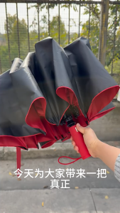 125cm Automatic Large Folding Umbrella Windproof Reinforced Frame UV Block Sunshade Rain Travel Umbrella