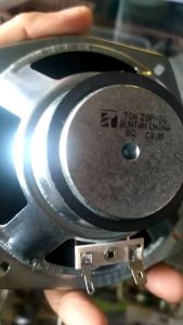 speaker Toa original pabrik untuk Menganti type speaker colom mesjid-mesjid musholla lapangan ruang meeting merk Toa ZS 102 ZS 202 Harga Termurah kwalitas bukan murahan harga per 1 Pcs