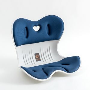 Waist Support Ergonomic Seat Cushion Posture Correction Chair Spine Stretcher Lumbar Fitness Office/Rainbow Culture
