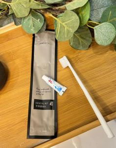 Premium Disposable Hotel Dental Kit Toothbrush For Hotel Toothpaste Mini Ubat Gigi Hotel