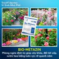 Dế Mèn BIO-METAZIN 250g – Chế phẩm vi sinh phòng ngừa nhện đỏ, bọ trĩ, rệp sáp. 