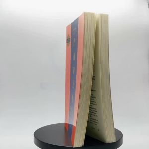 [ Spot Goods 2025 New ]Aguyu-The Concise 48 Laws Of Power By Robert Greene English book