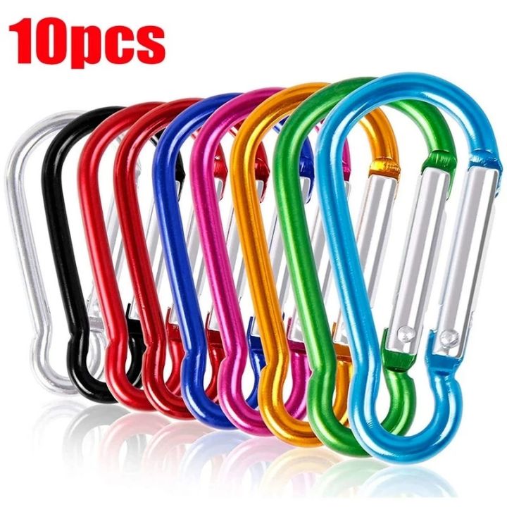 10pcs Carabiner Clip Key Chain with Lock D Shape Aluminum Carabiner ...